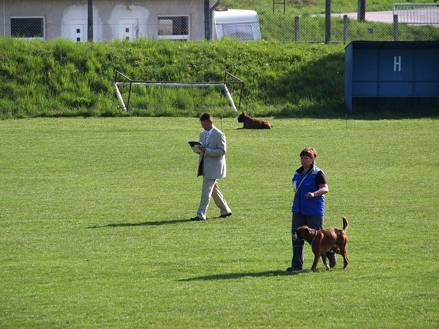 www.atibox.net * www.euroboxer.eu * www.boxergenealogia.eu